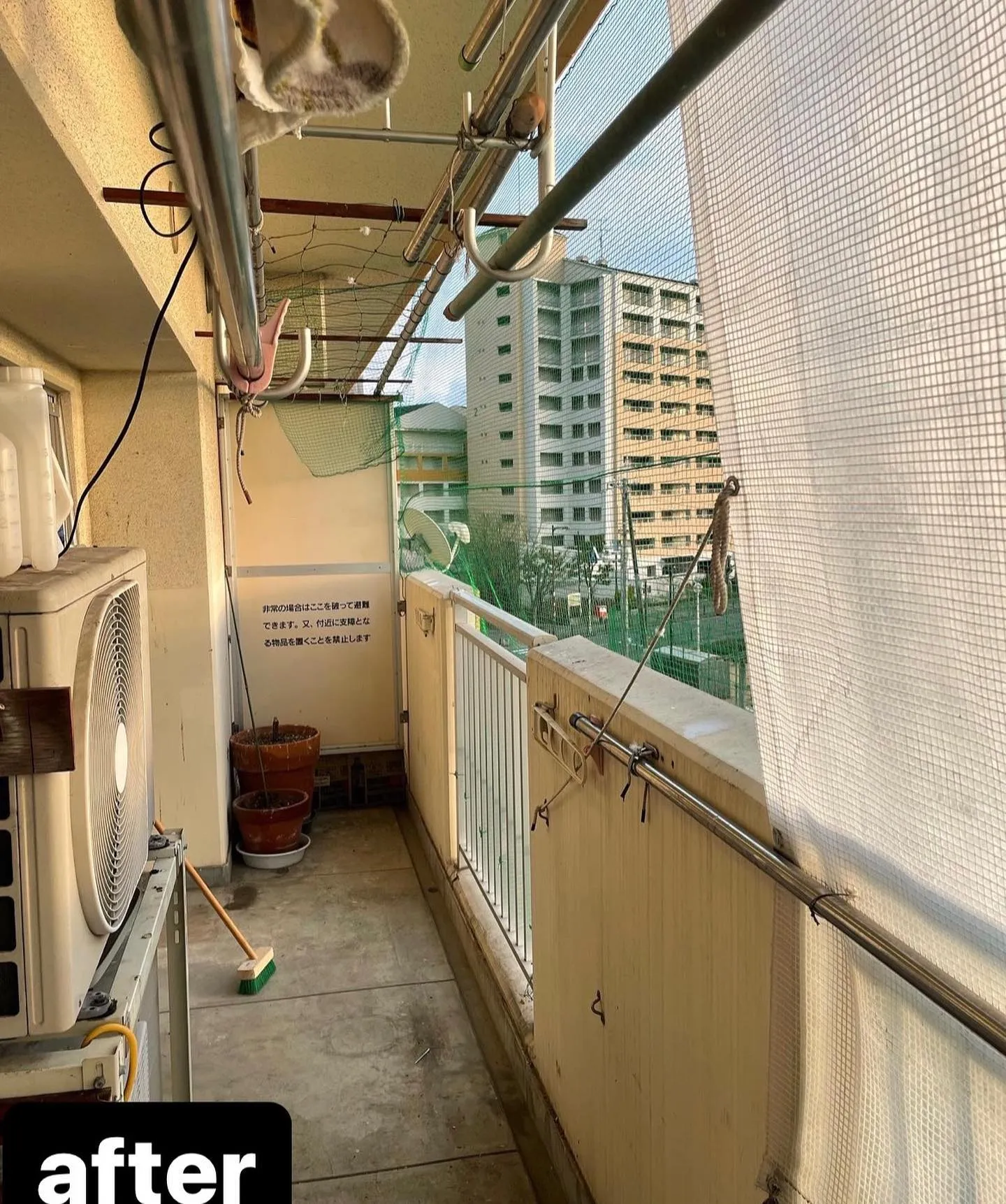 【鳩は害鳥？大阪で害鳥駆除するならNATY 株式会社で】