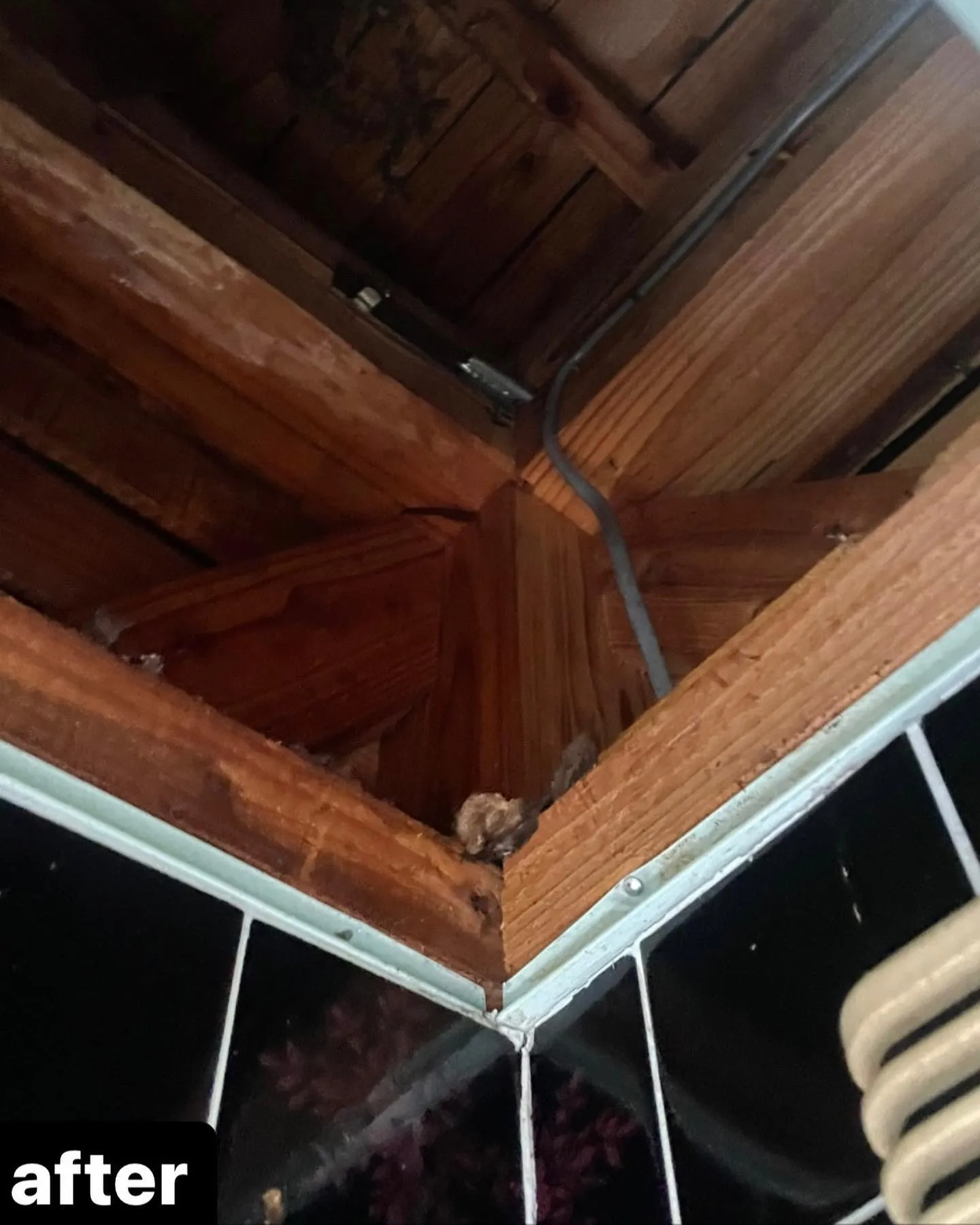 【蜂の巣は危険！！大阪で蜂駆除するならNATY 株式会社で】