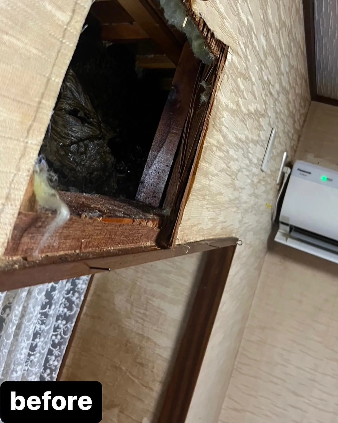 【こんな所に蜂が！！かなり危険！蜂駆除するならNATY 株式会...