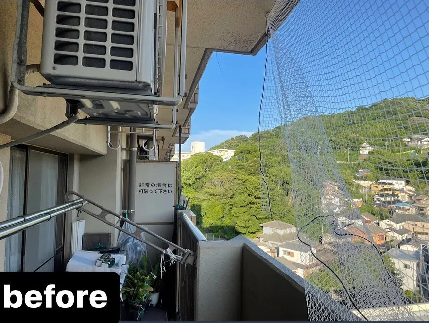 【鳩がベランダに！危険！害鳥駆除ならNATY 株式会社で】