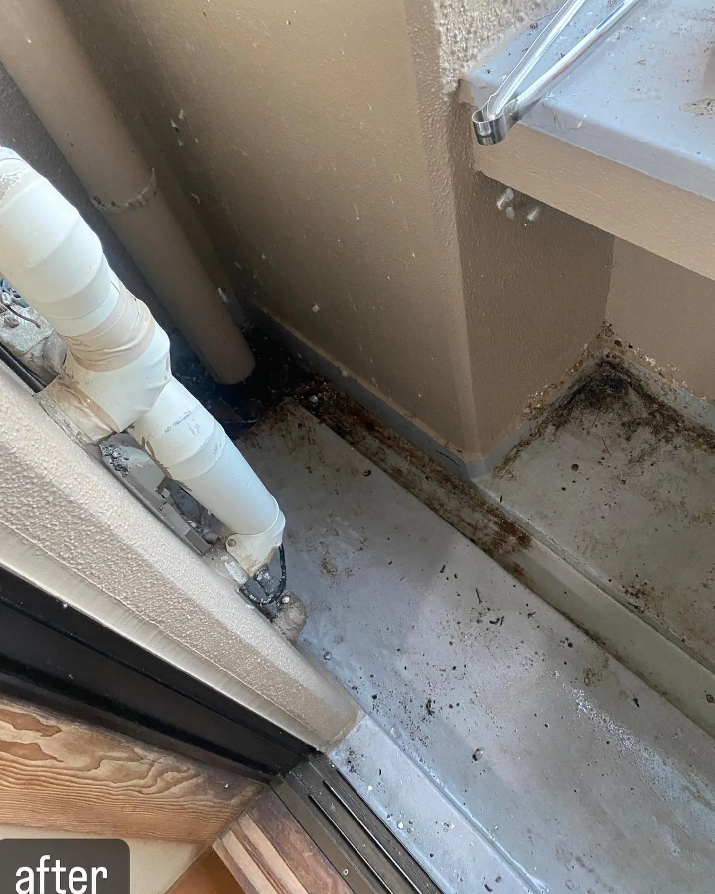 【鳩がベランダに！糞害で大変なことに！鳩駆除ならNATY 株式...