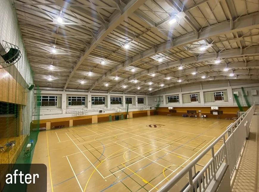 【鳩が学校の体育館に！糞害で大変なことに！鳩駆除ならNATY ...