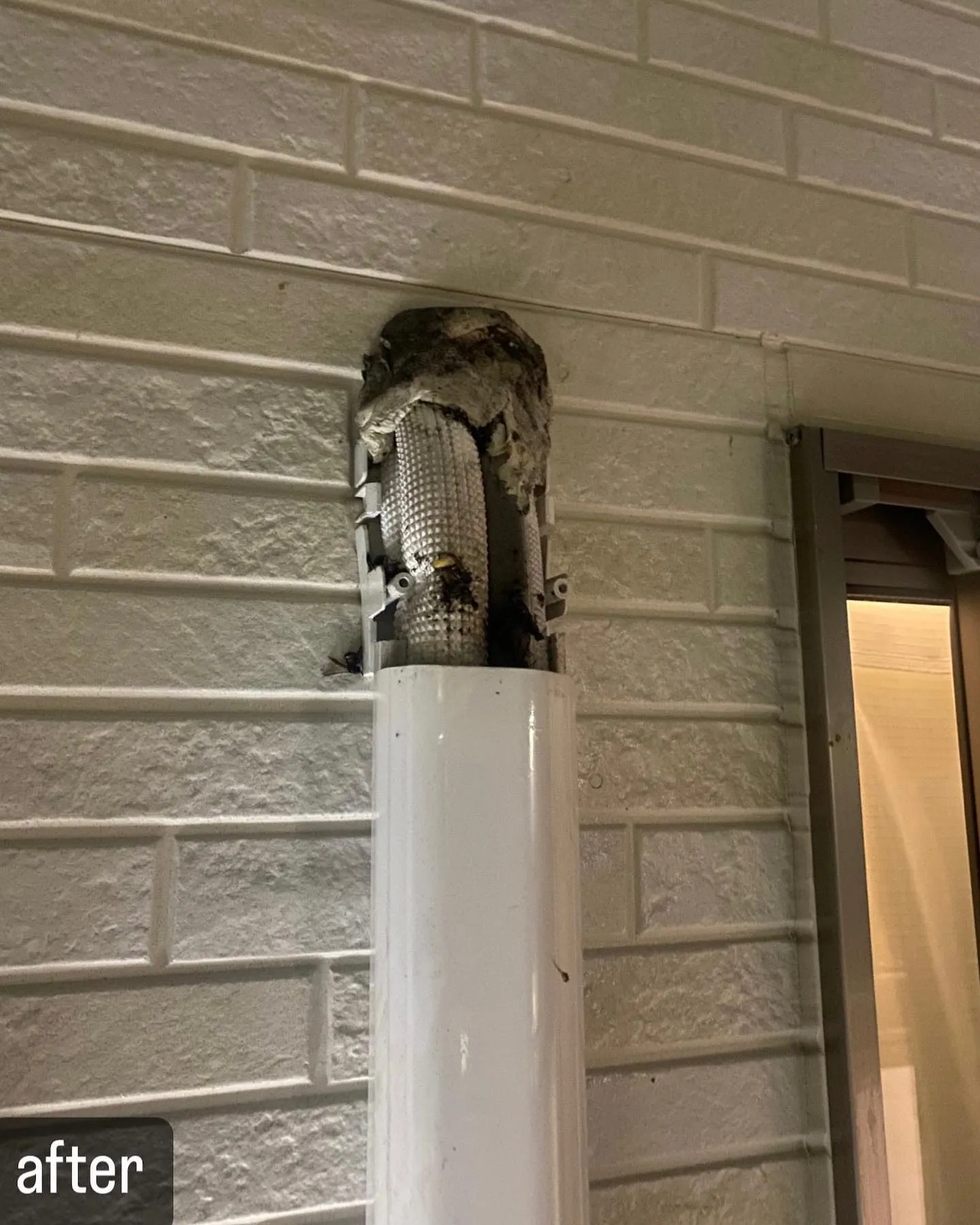 【蜂が室外機に！大変なことに！害虫駆除ならNATY 株式会社で】