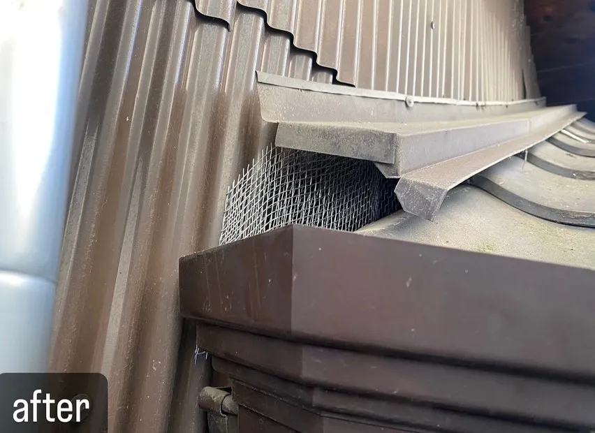 【アライグマ対策！可愛いが危険！害獣駆除ならNATY 株式会社...