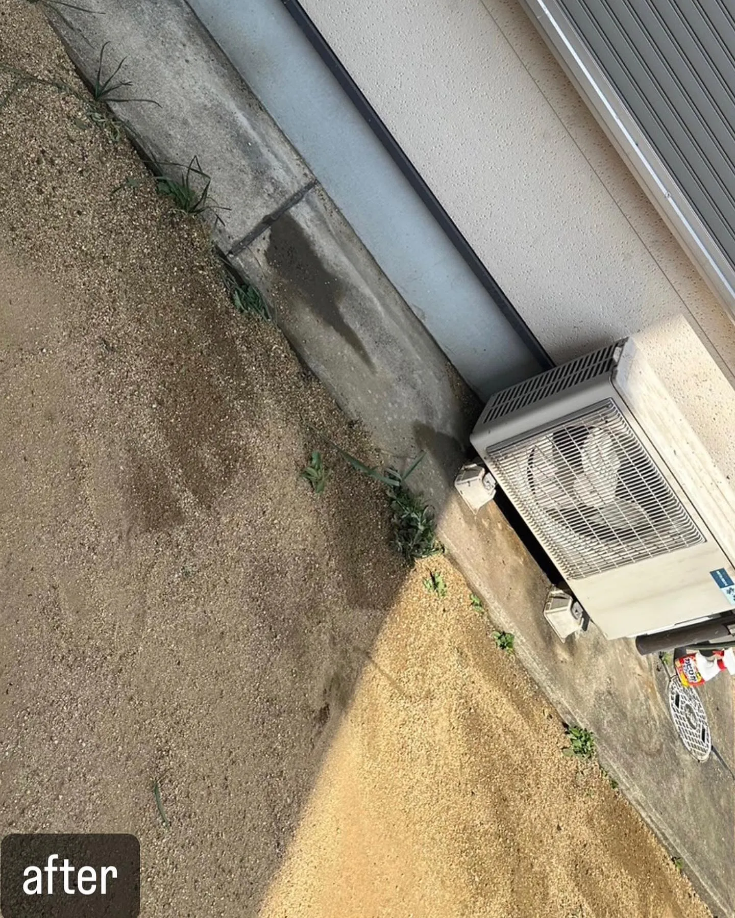 【鳩対策！糞害が危険！害鳥駆除ならNATY 株式会社で】