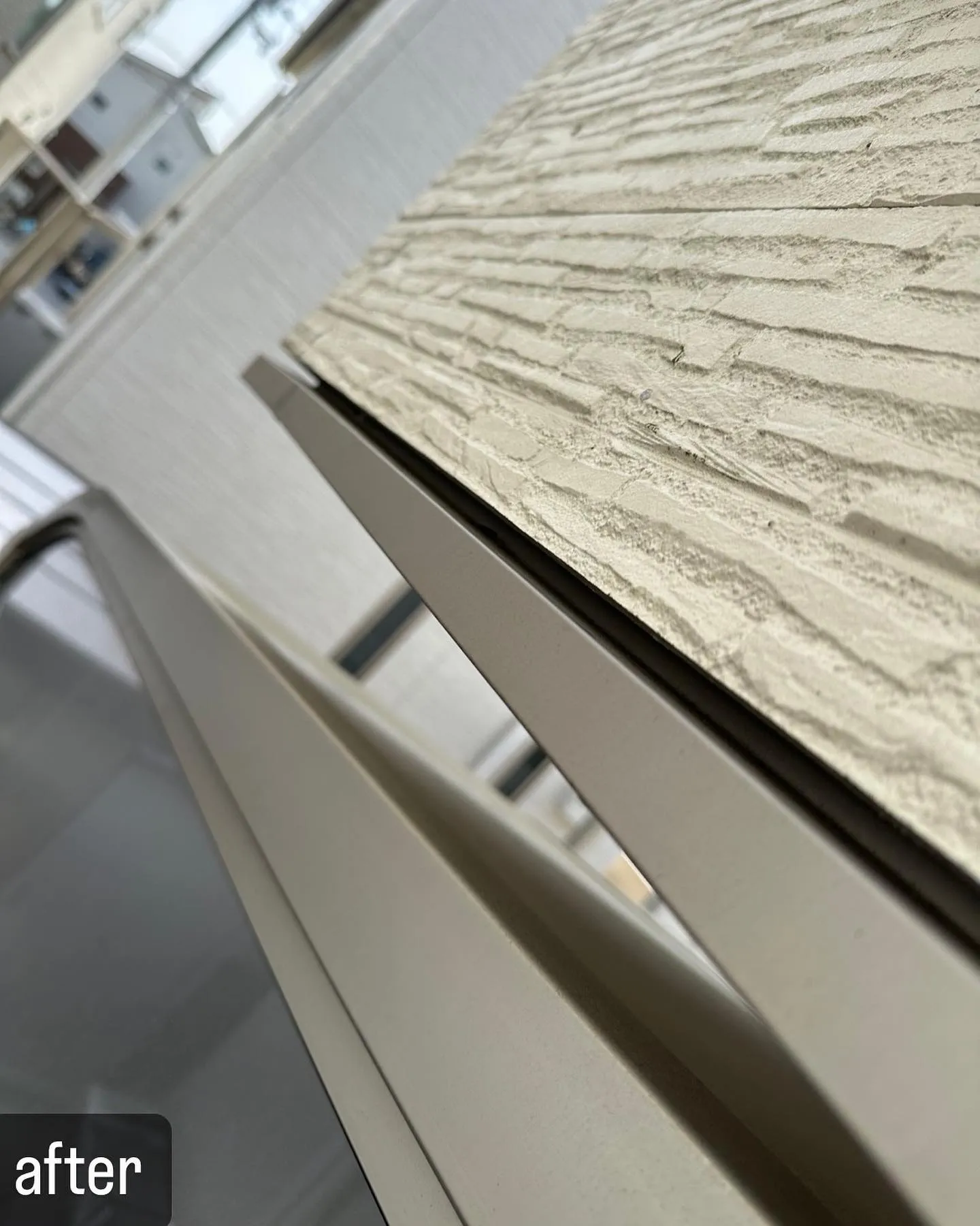 【コウモリが！家の中に！害鳥駆除ならNATY 株式会社で】