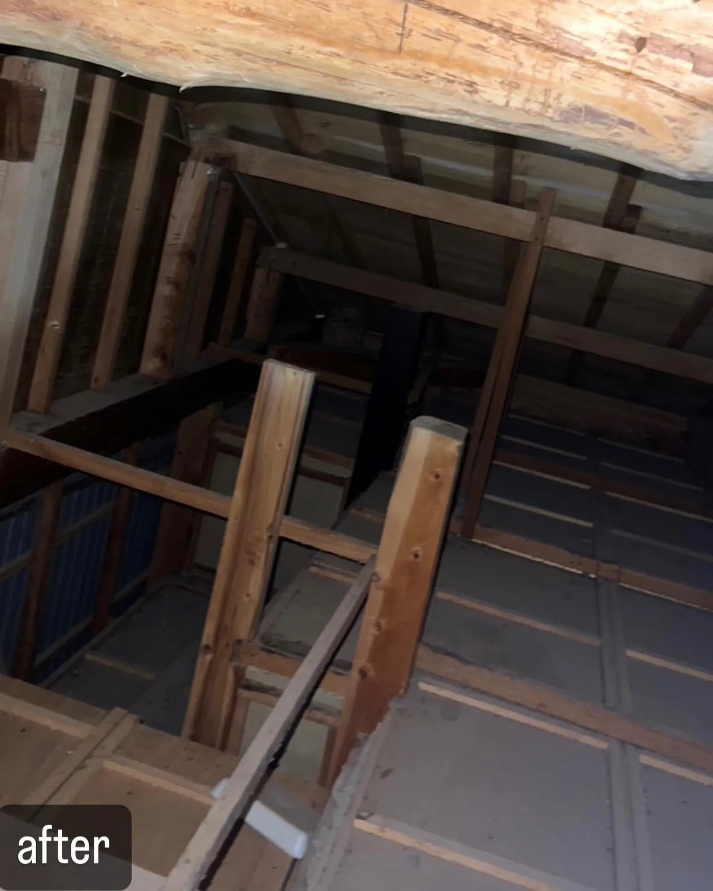 【屋根裏に蜂が！家の中に蜂が！害虫駆除ならNATY 株式会社で】