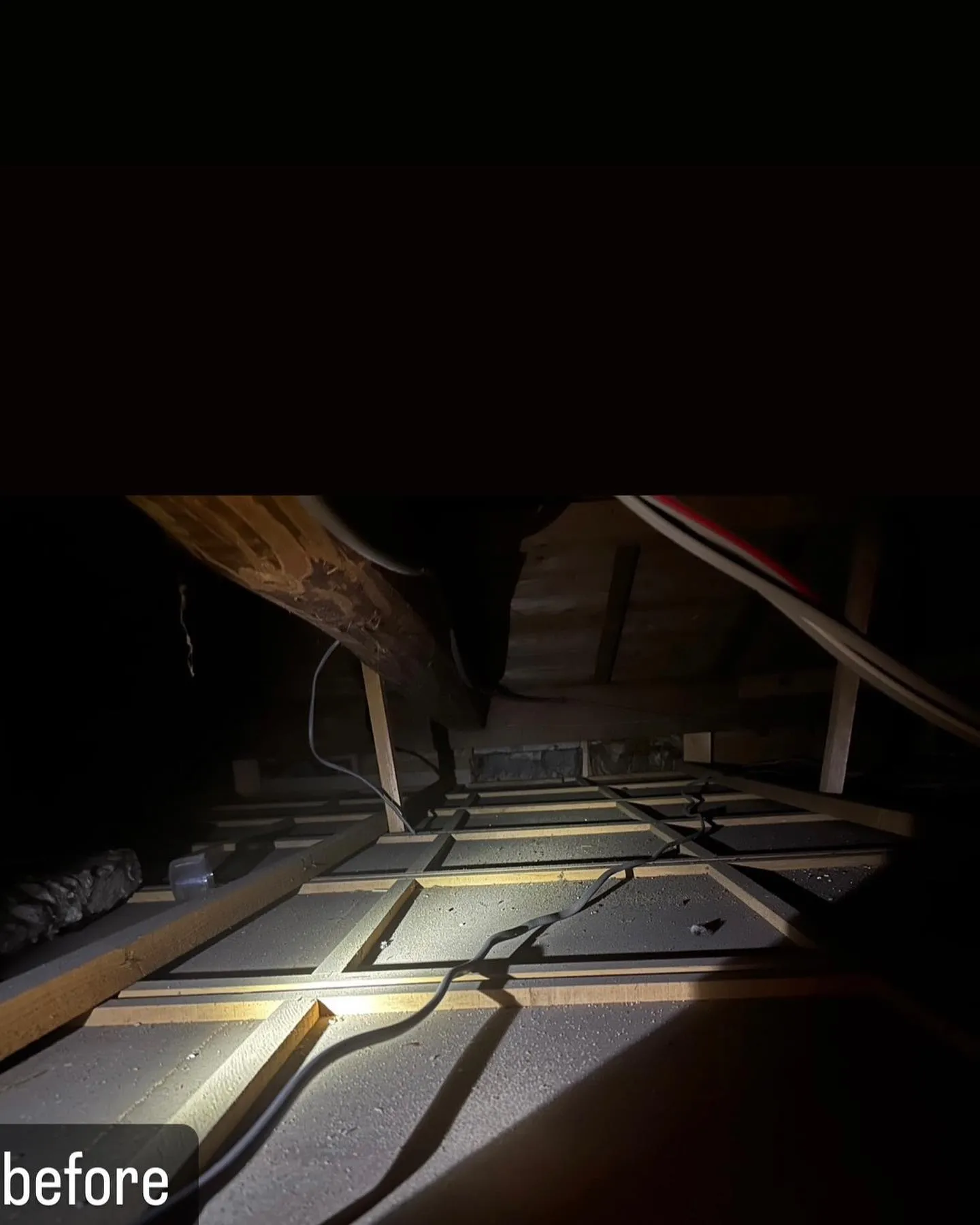 【屋根裏にネズミが！家の中に糞害！害獣駆除ならNATY 株式会...