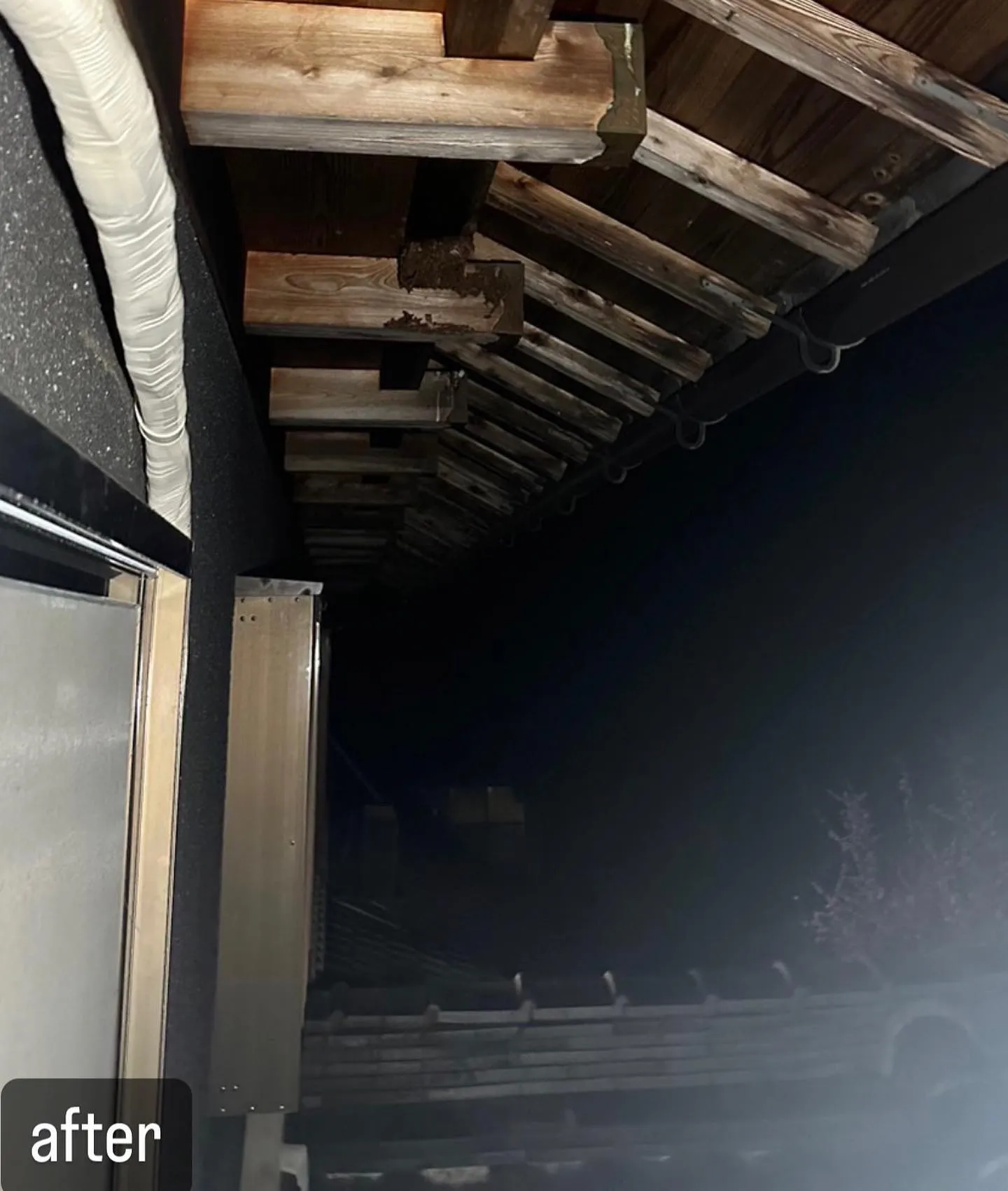 【蜂の巣が！外壁に張り付いてる蜂の巣！蜂駆除ならNATY 株式...