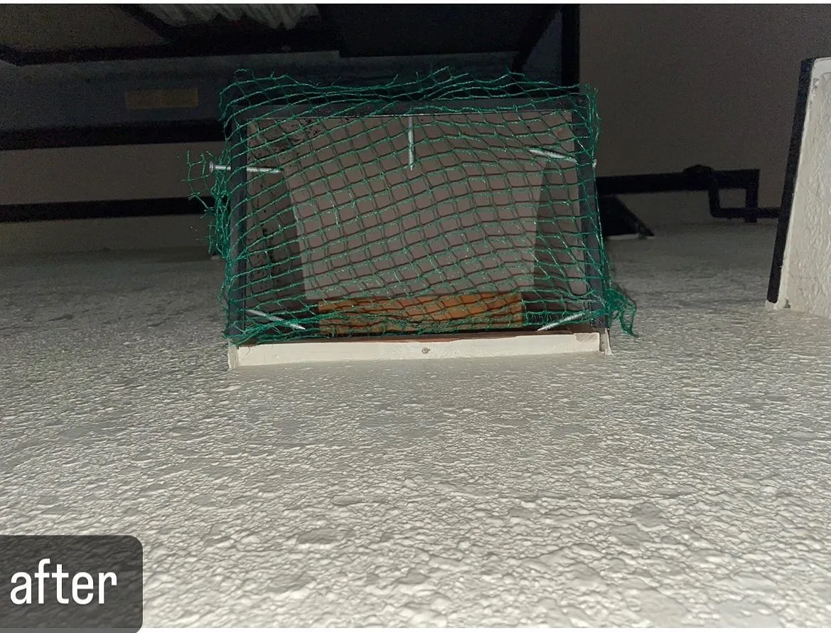 【室内にスズメが！自宅に侵入して危険！害鳥駆除ならNATY ...