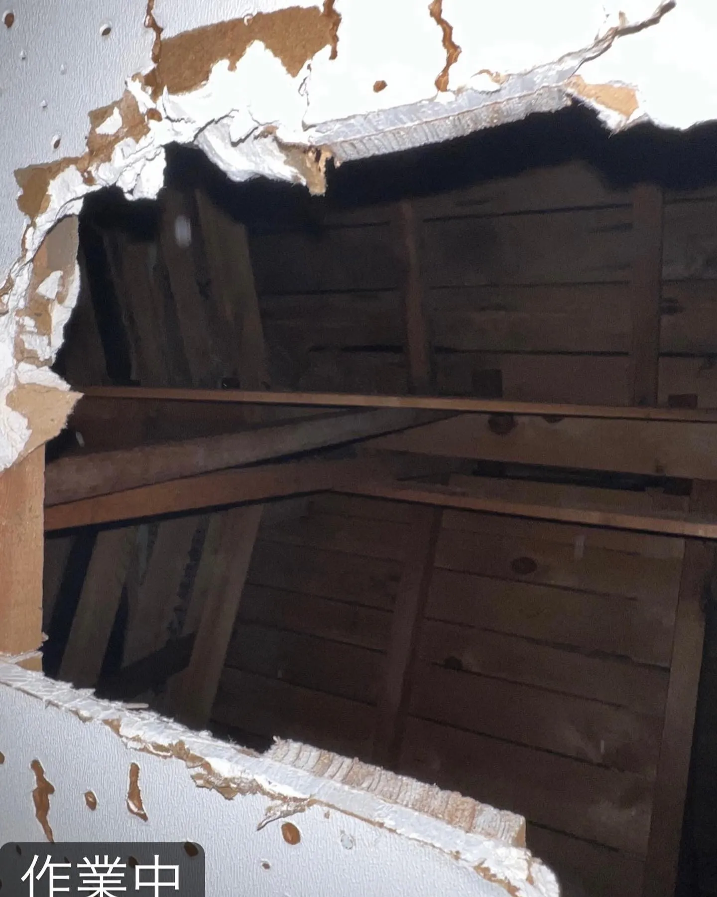 【家の庭に蜂が！極めて危険！害虫駆除ならNATY 株式会社で...