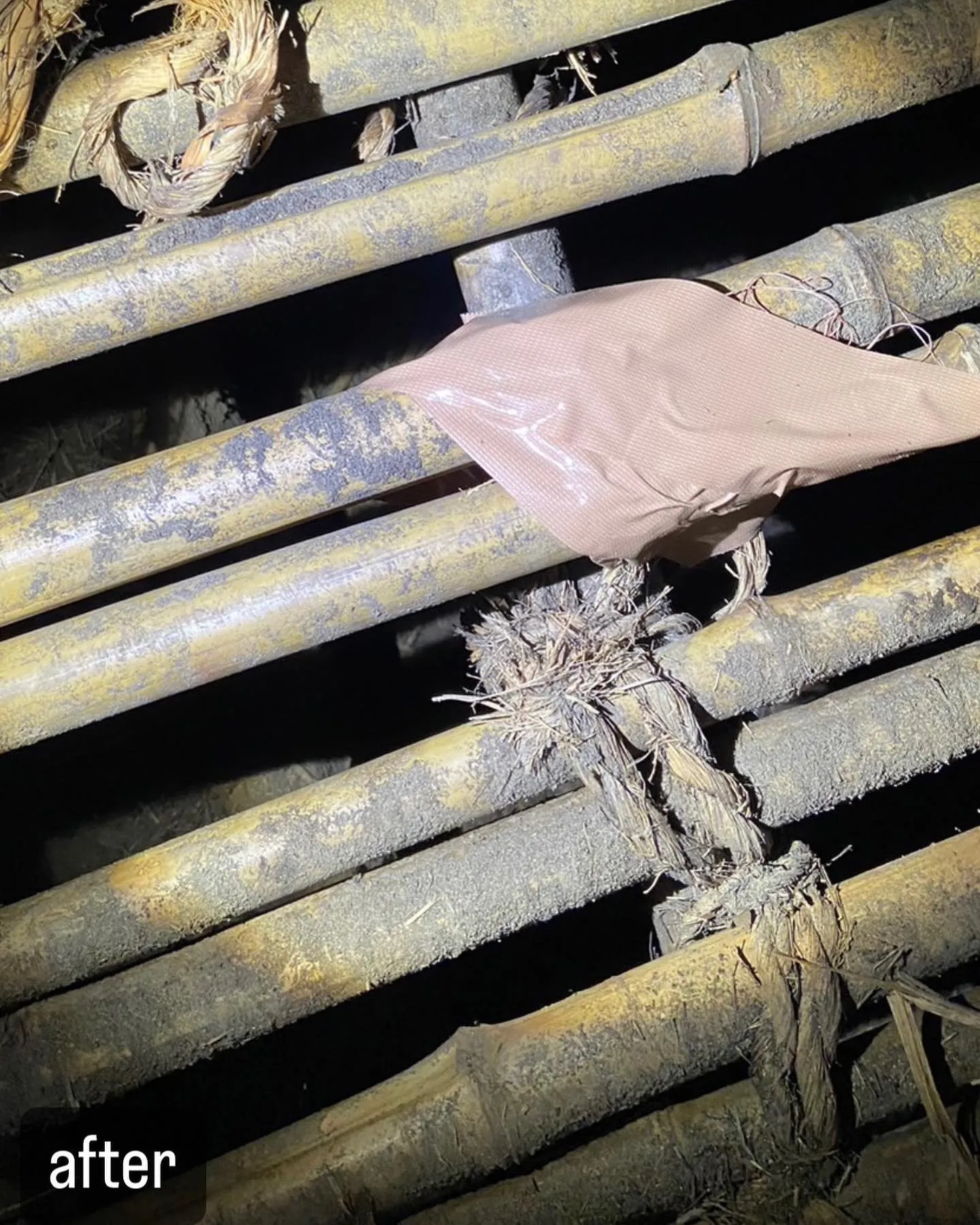 【家の屋根裏に猫が！異臭の消臭！害獣駆除ならNATY 株式会...