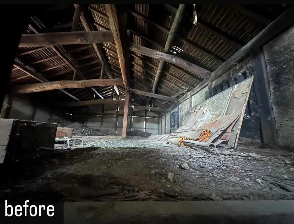 【家の屋根裏に蛆虫が！害虫駆除ならNATY 株式会社で】