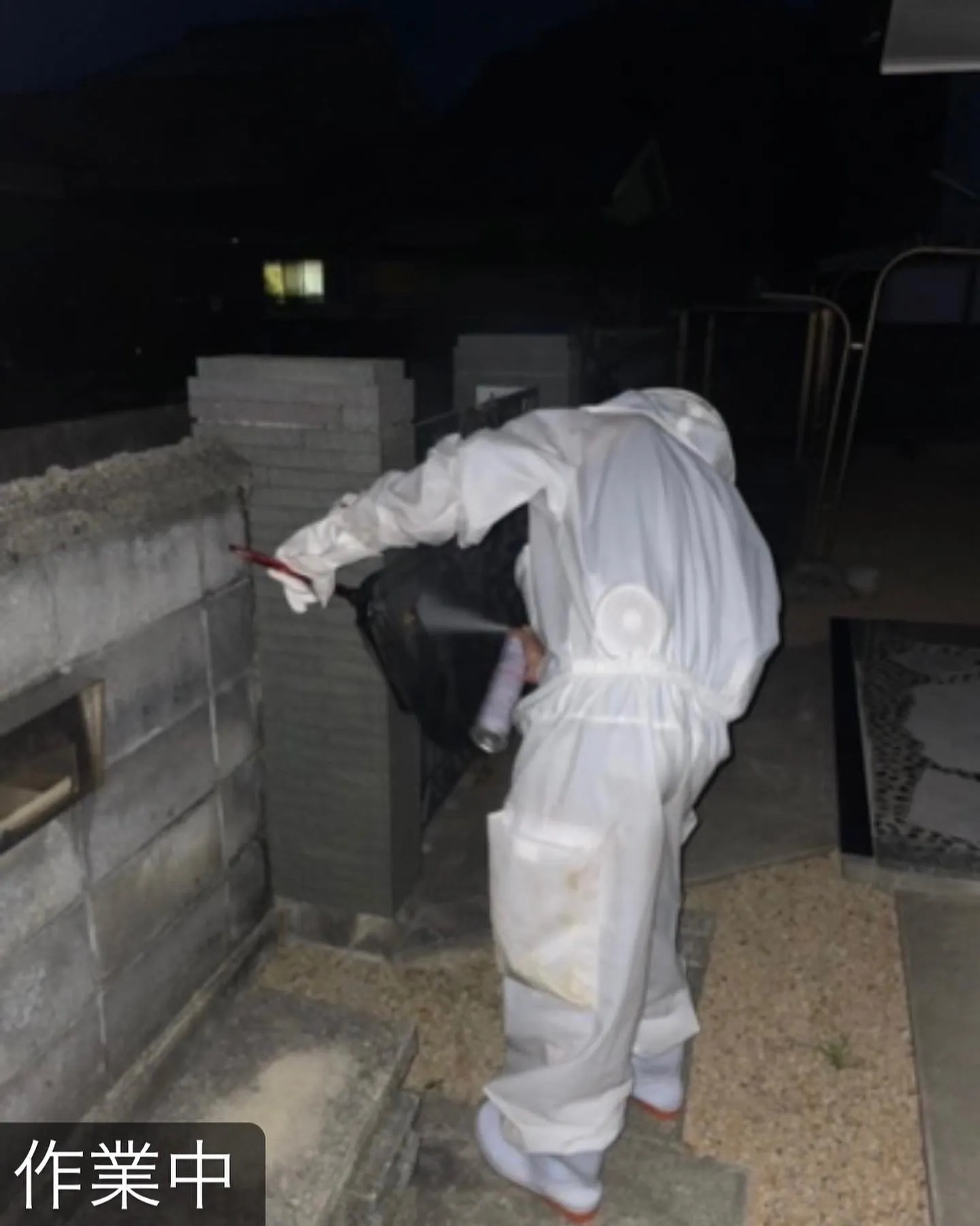 【玄関に蜂が！危険！害虫駆除ならNATY 株式会社で】