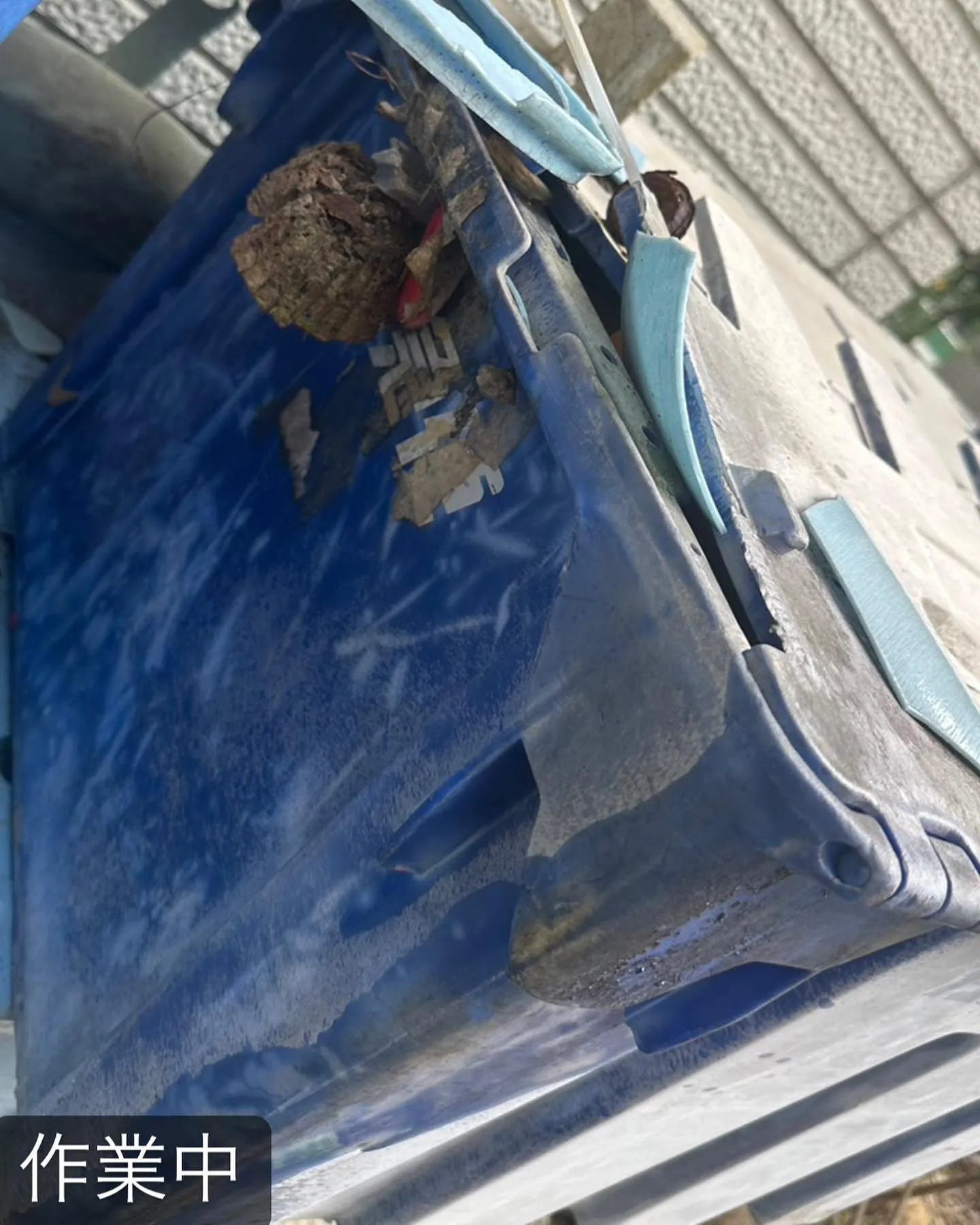 【庭に蜂が！危険！害虫駆除ならNATY 株式会社で】