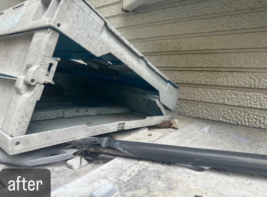 【家に鳩が！危険！害虫駆除ならNATY 株式会社で】