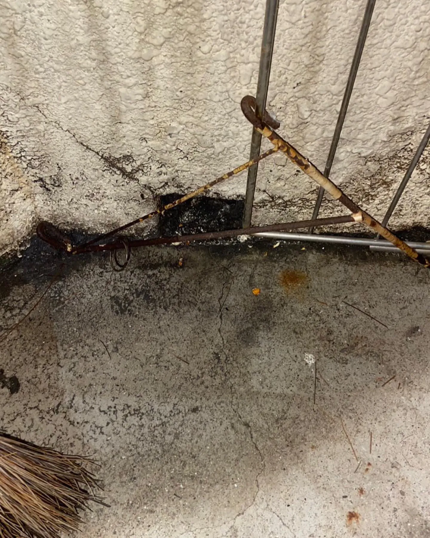 【庭に鳩が！危険！害虫駆除ならNATY 株式会社で】