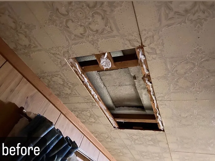 【お家の中にイタチが！実は危険！害獣駆除ならNATY 株式会...