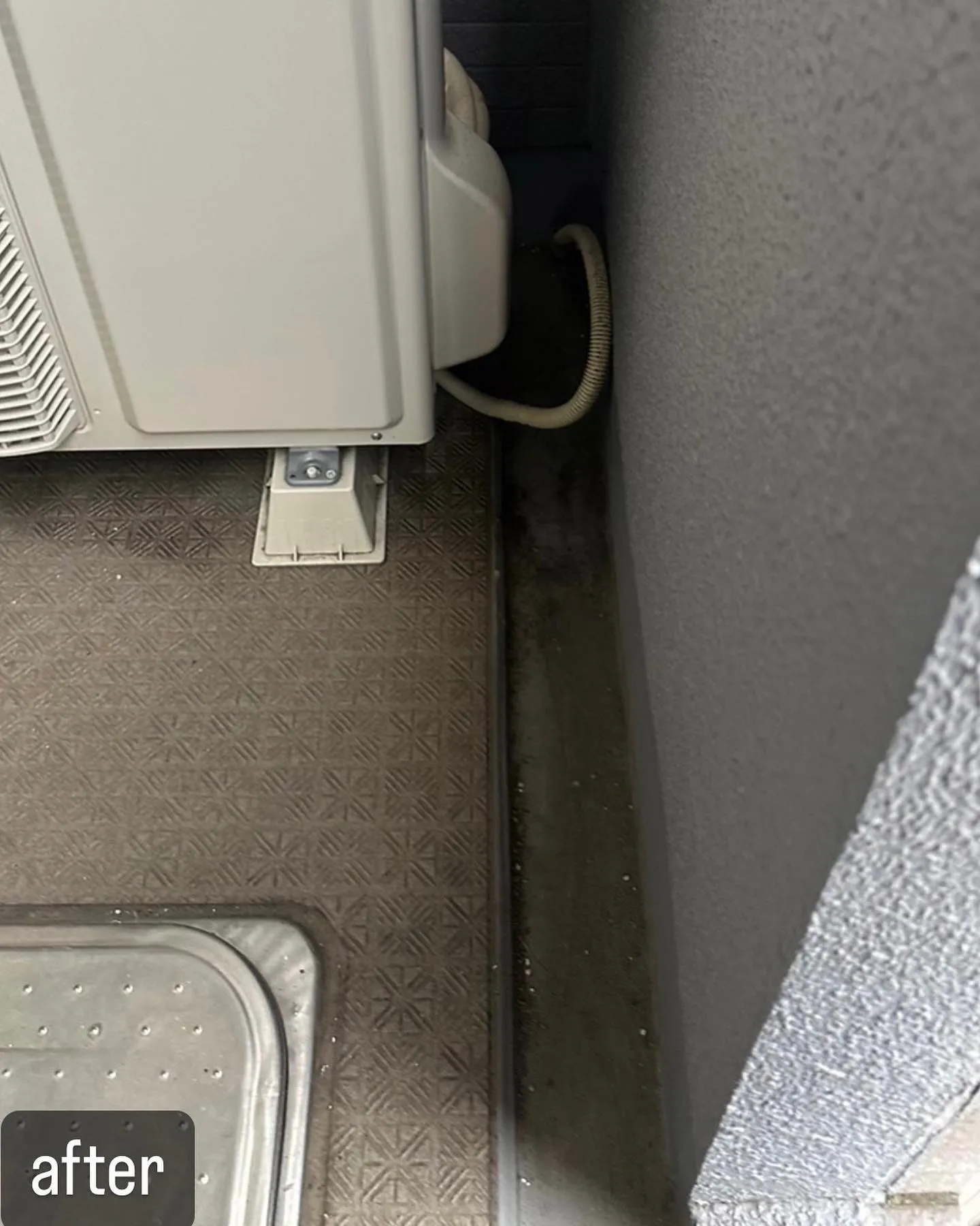 【ベランダに鳩！卵も危険！害鳥駆除ならNATY 株式会社で】