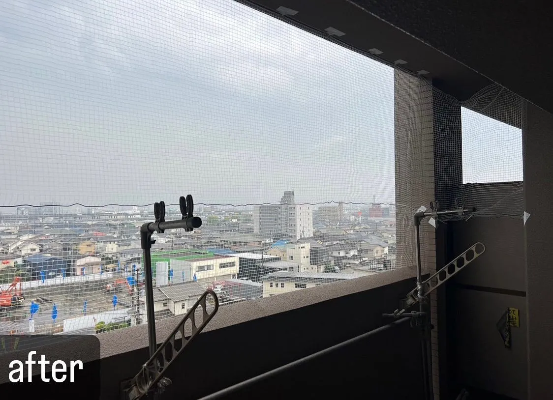 【ベランダに鳩！ネット張りならおまかせ！害鳥駆除ならNATY...