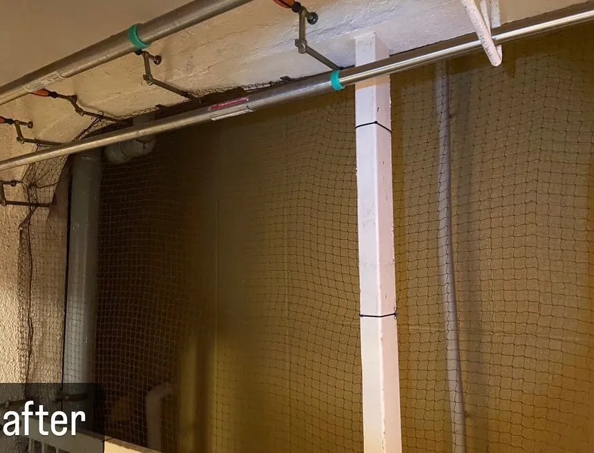 【鳩駆除！ベランダに鳩が！害鳥駆除ならNATY 株式会社で】