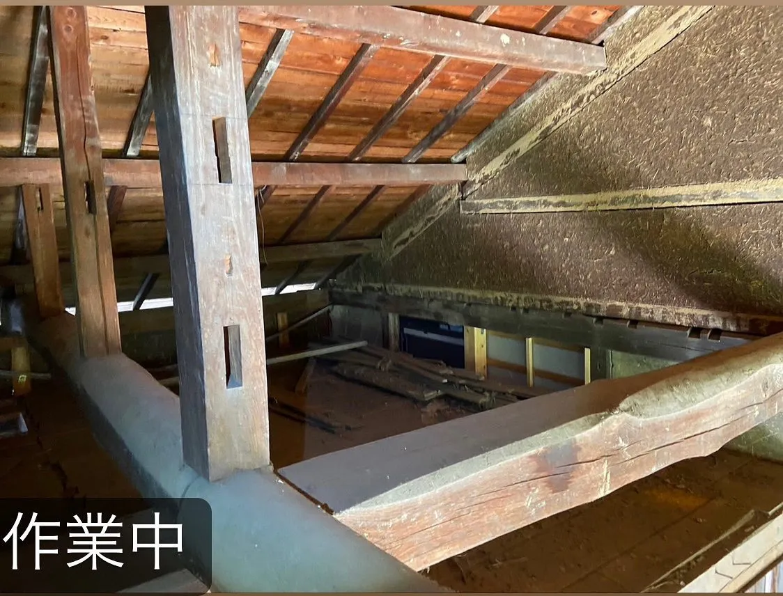 【屋根裏に！害獣が！害獣駆除ならNATY 株式会社で】