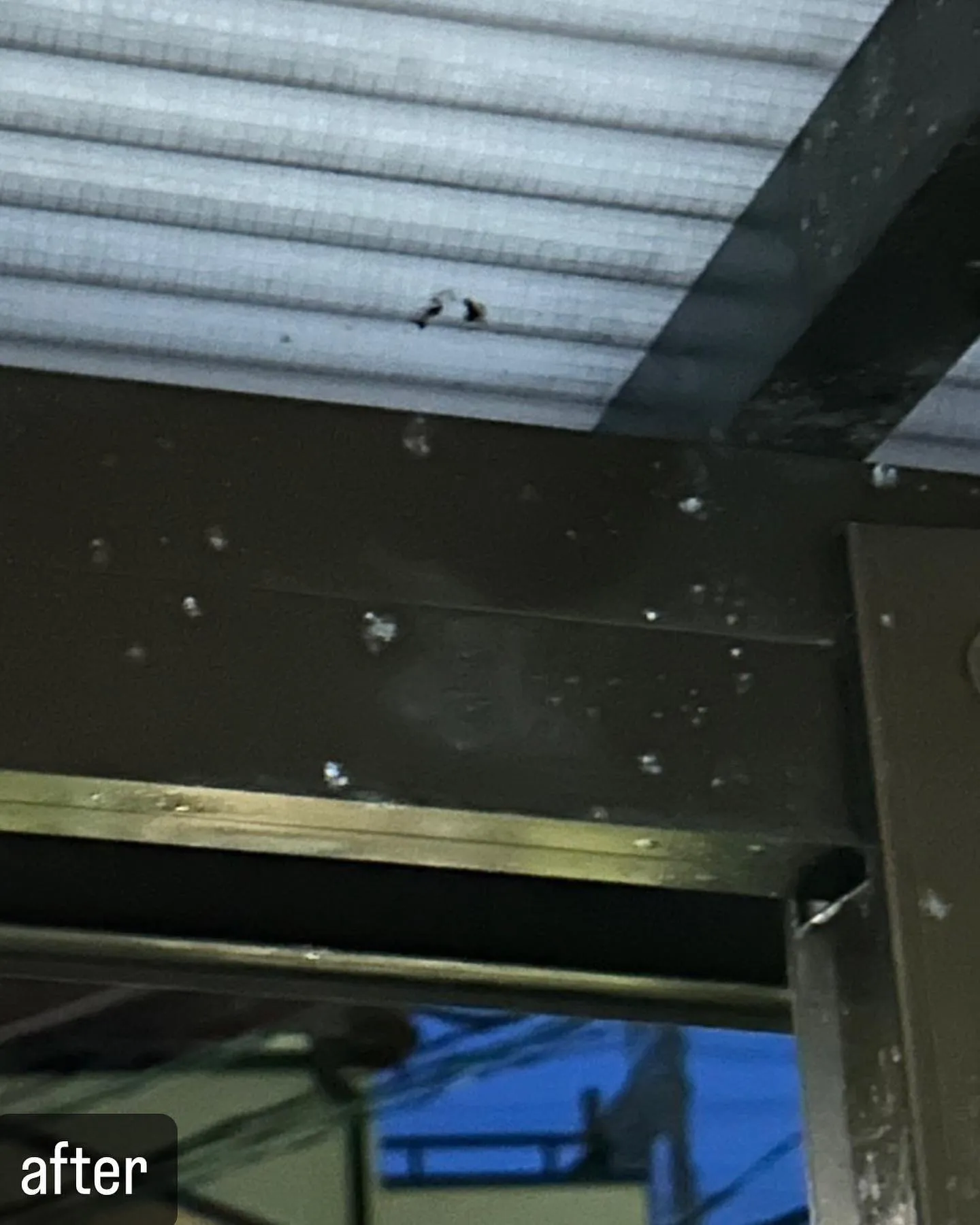 【家に蜂が！害虫駆除ならNATY 株式会社で】