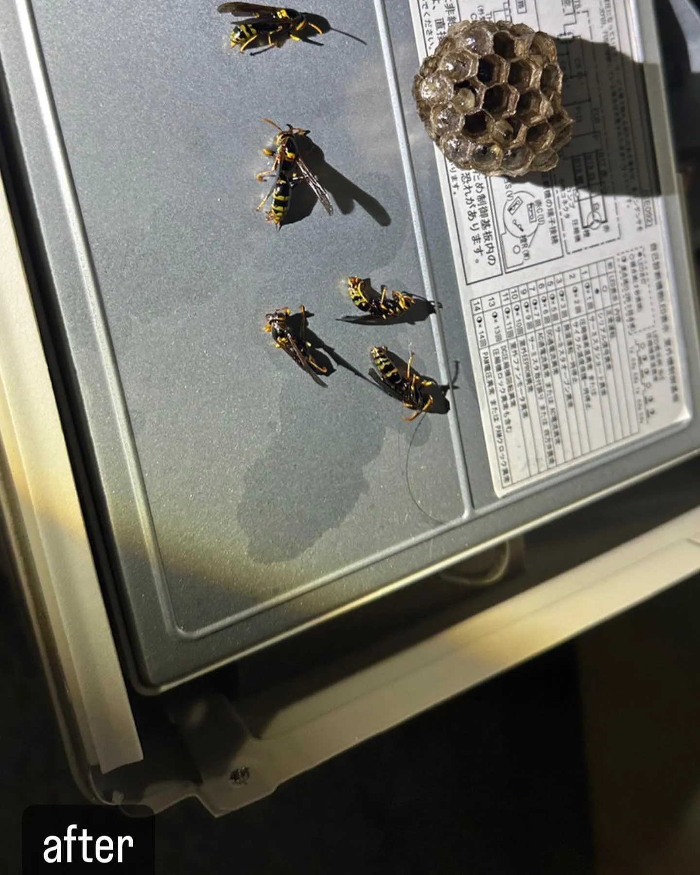 【室外機に蜂が！害虫駆除ならNATY 株式会社で】