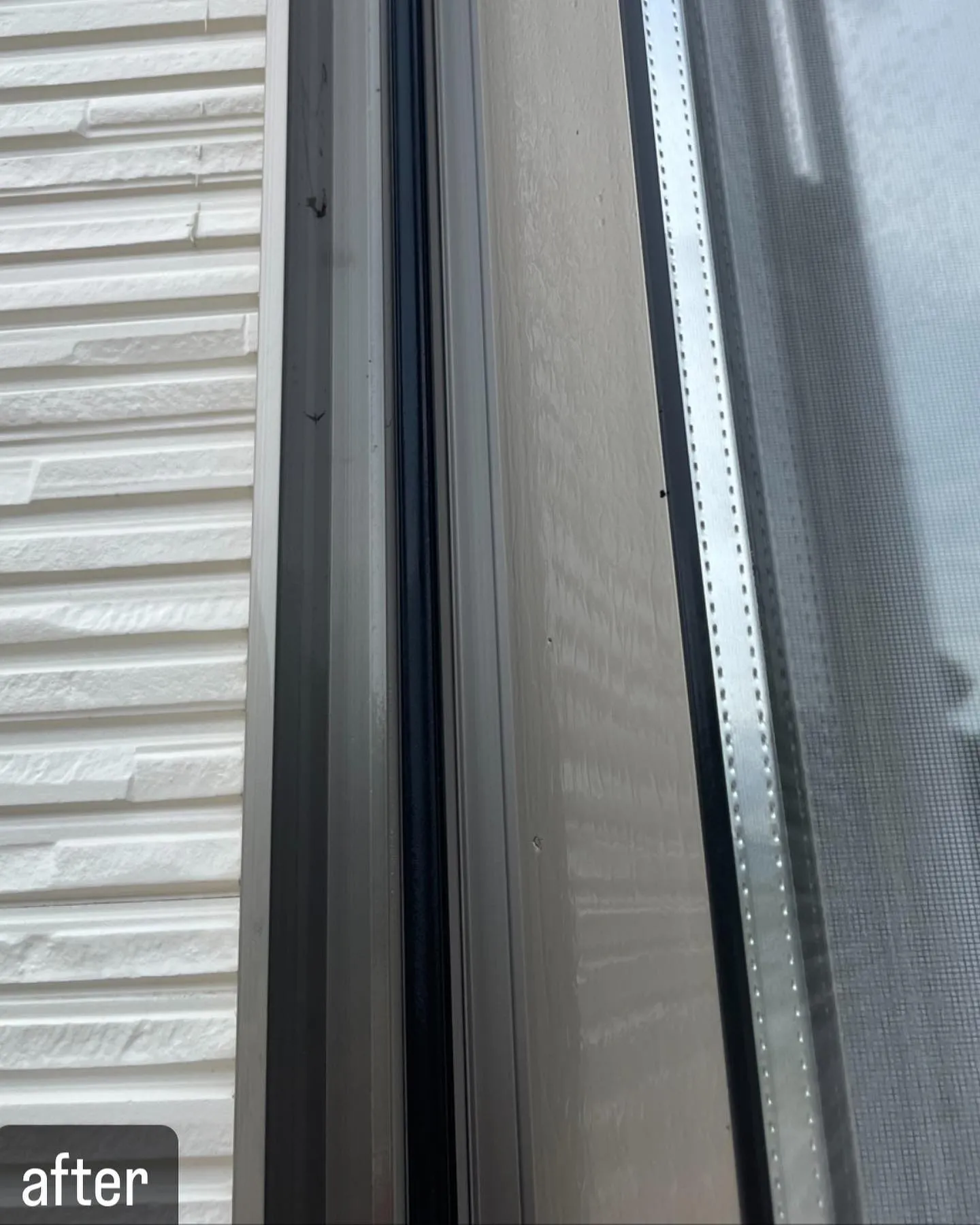 【自宅の窓にに蜂が！害虫駆除ならNATY 株式会社で】