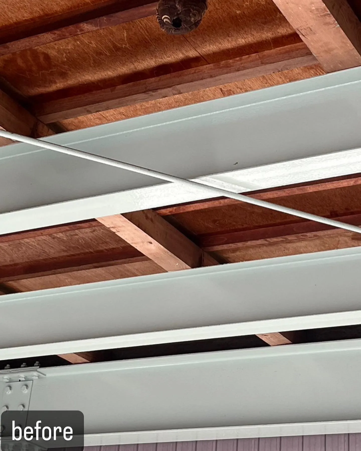 【自宅に蜂が！害虫駆除ならNATY 株式会社で】