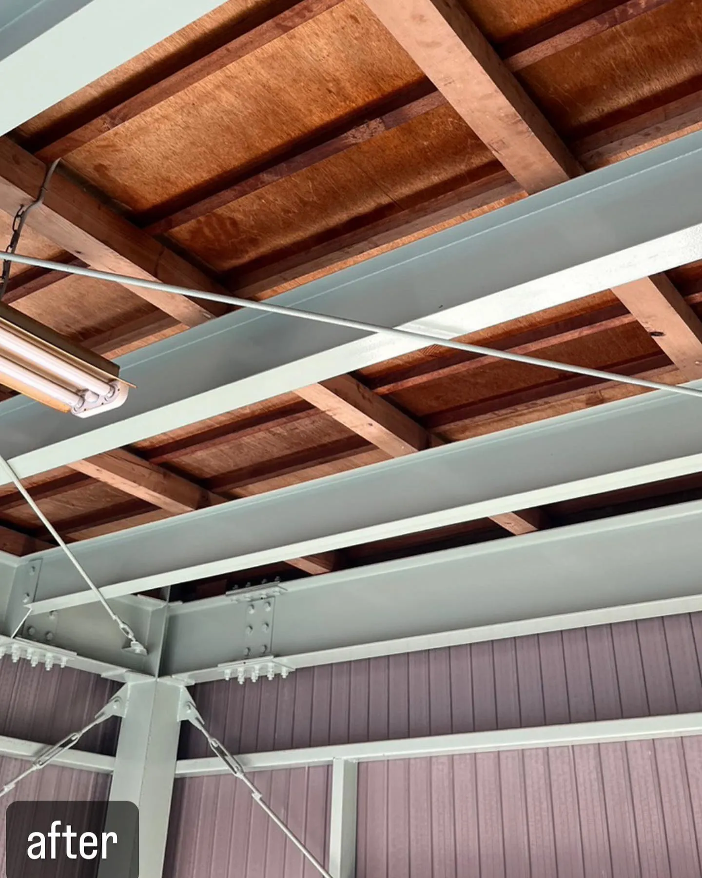 【自宅に蜂が！害虫駆除ならNATY 株式会社で】