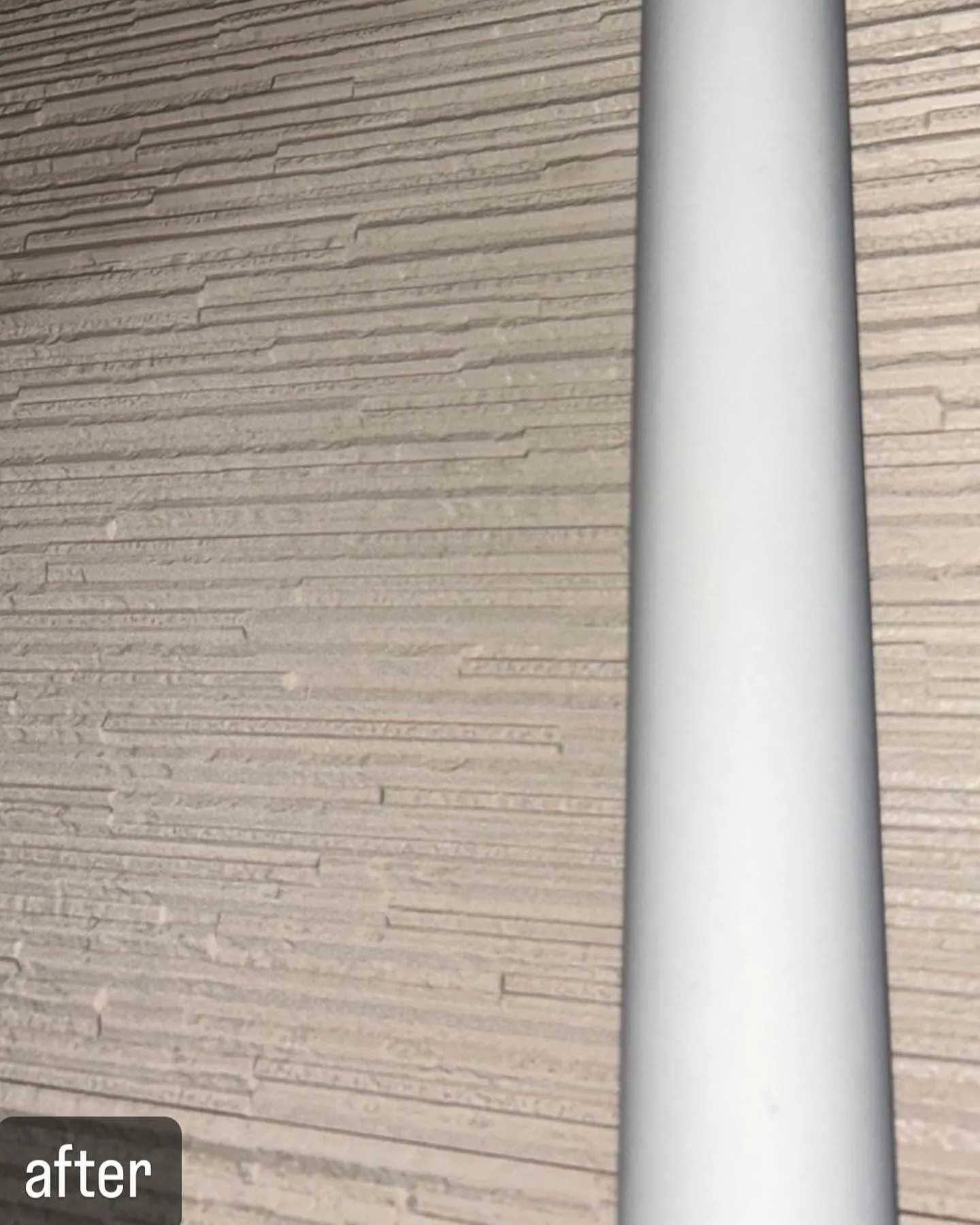 【自宅に壁に蜂が！害虫駆除ならNATY 株式会社で】