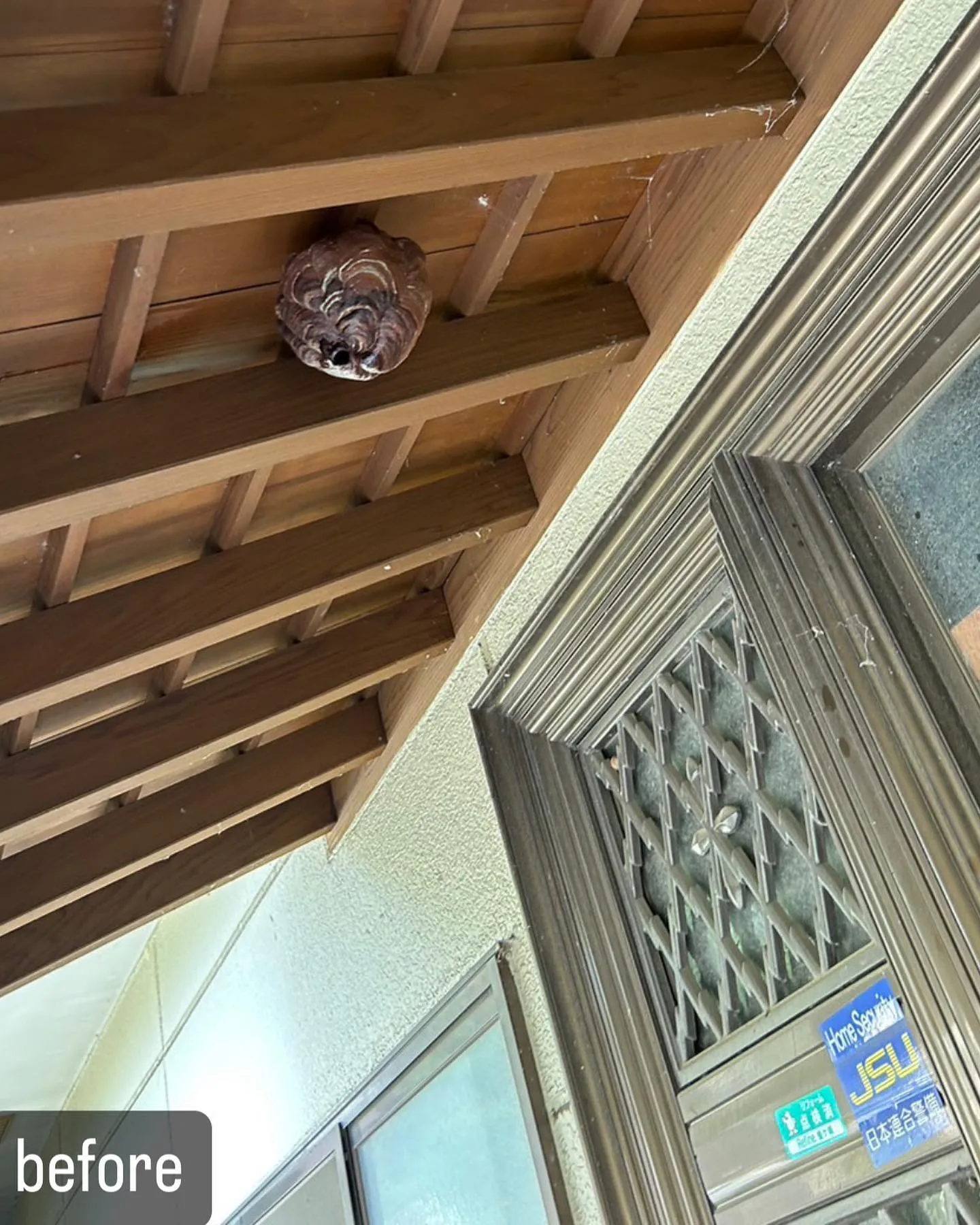 【自宅に蜂が！害虫駆除ならNATY 株式会社で】