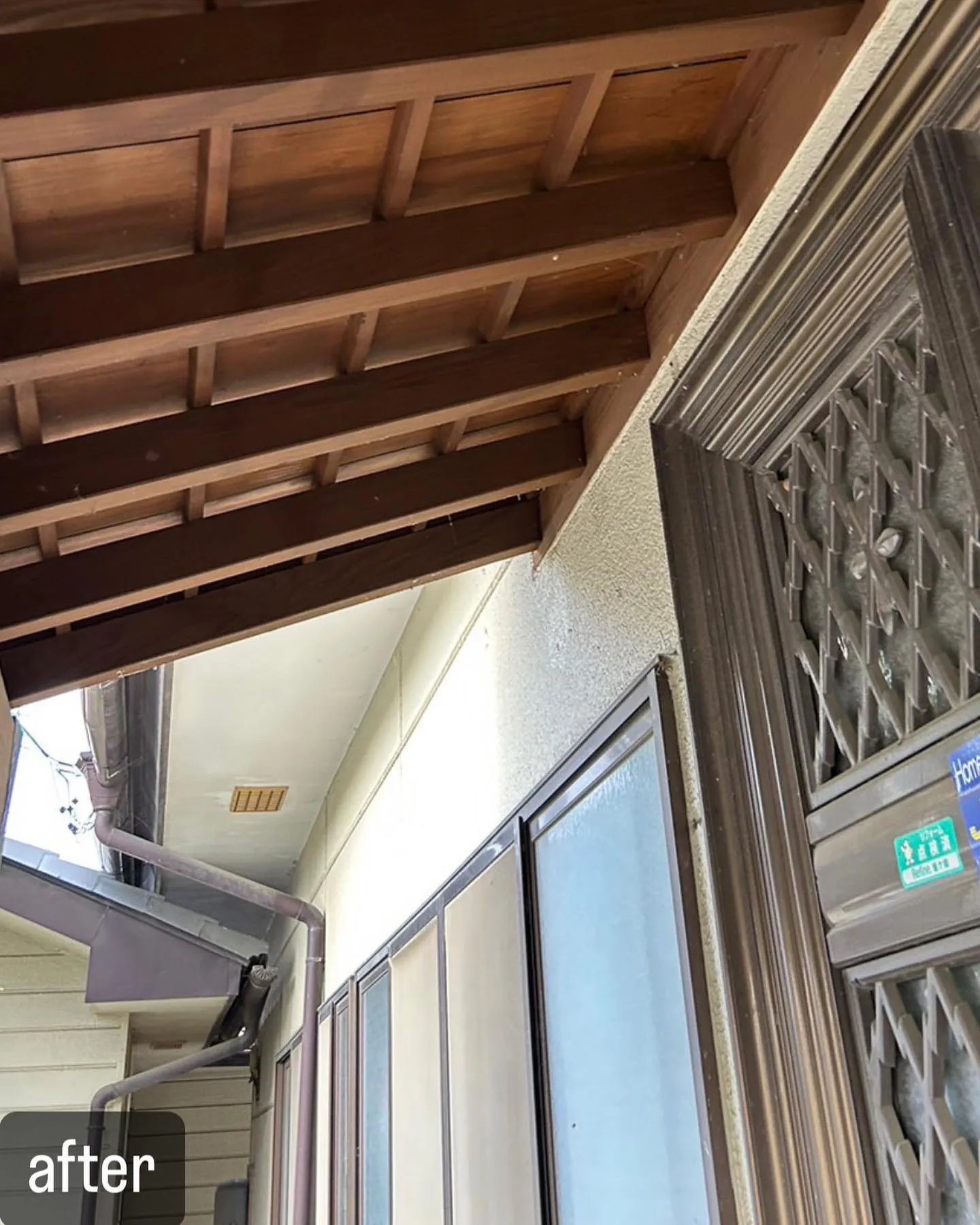 【自宅に蜂が！害虫駆除ならNATY 株式会社で】