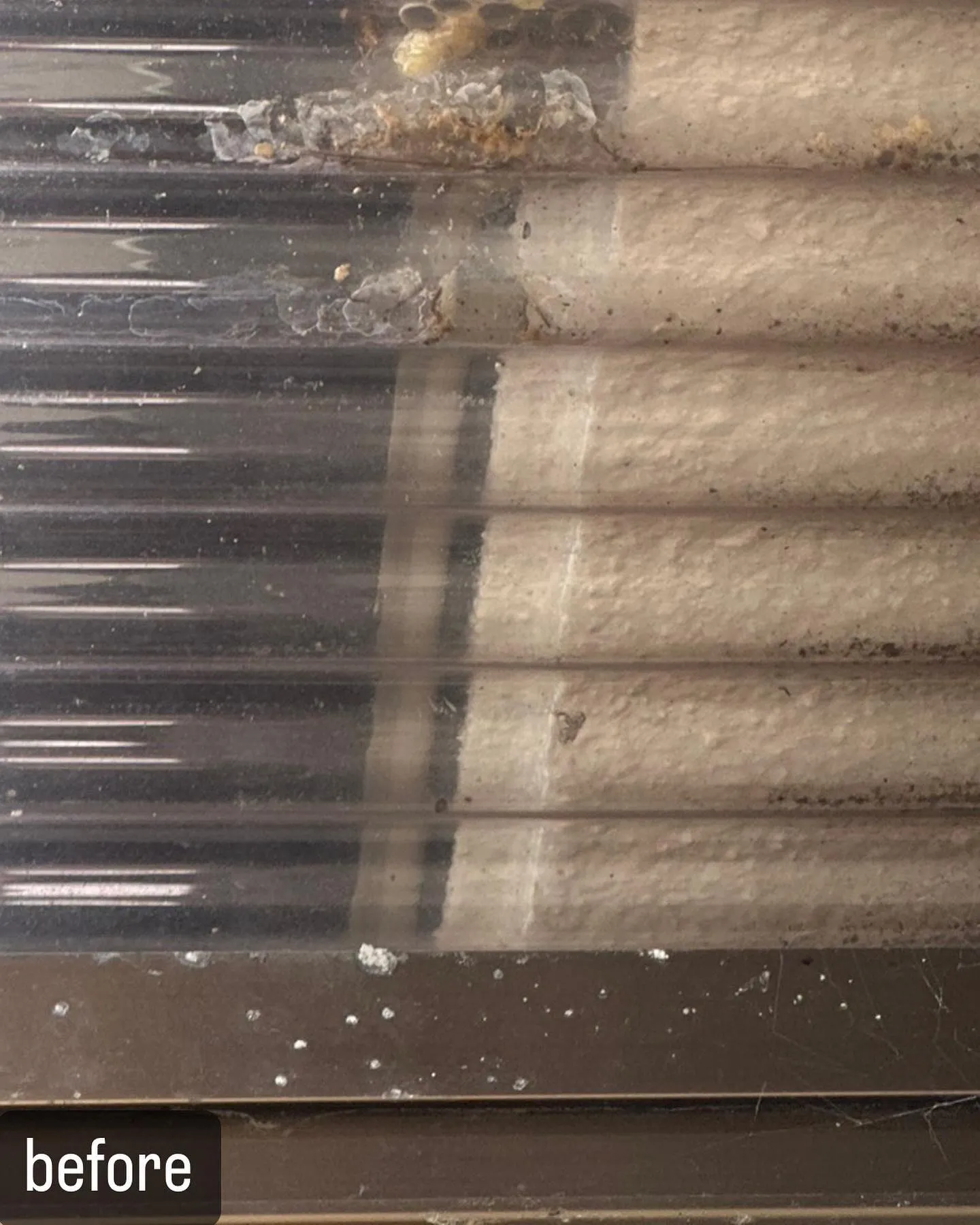 【自宅に蜂が！害虫駆除ならNATY 株式会社で】