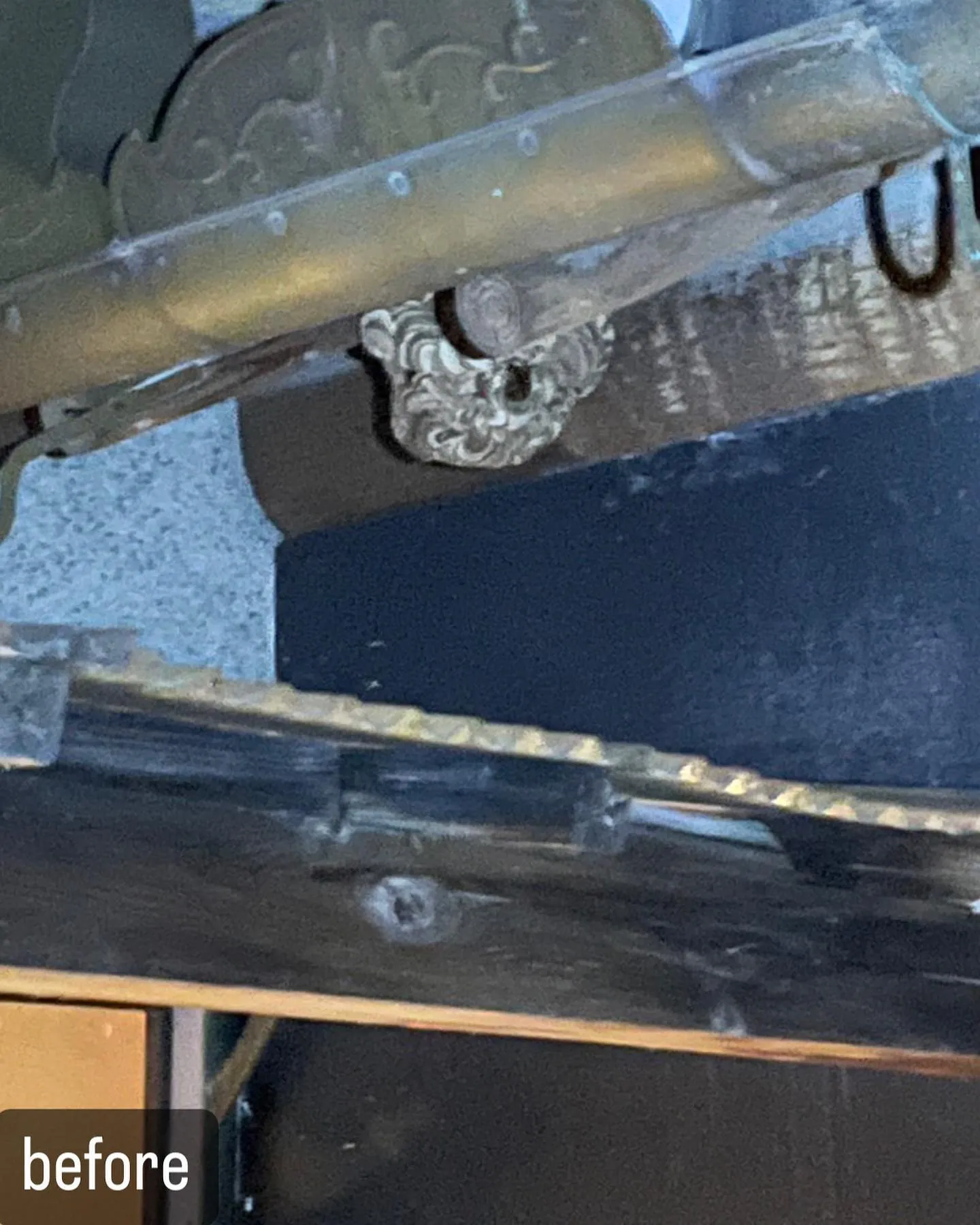 【自宅に蜂が！害虫駆除ならNATY 株式会社で】