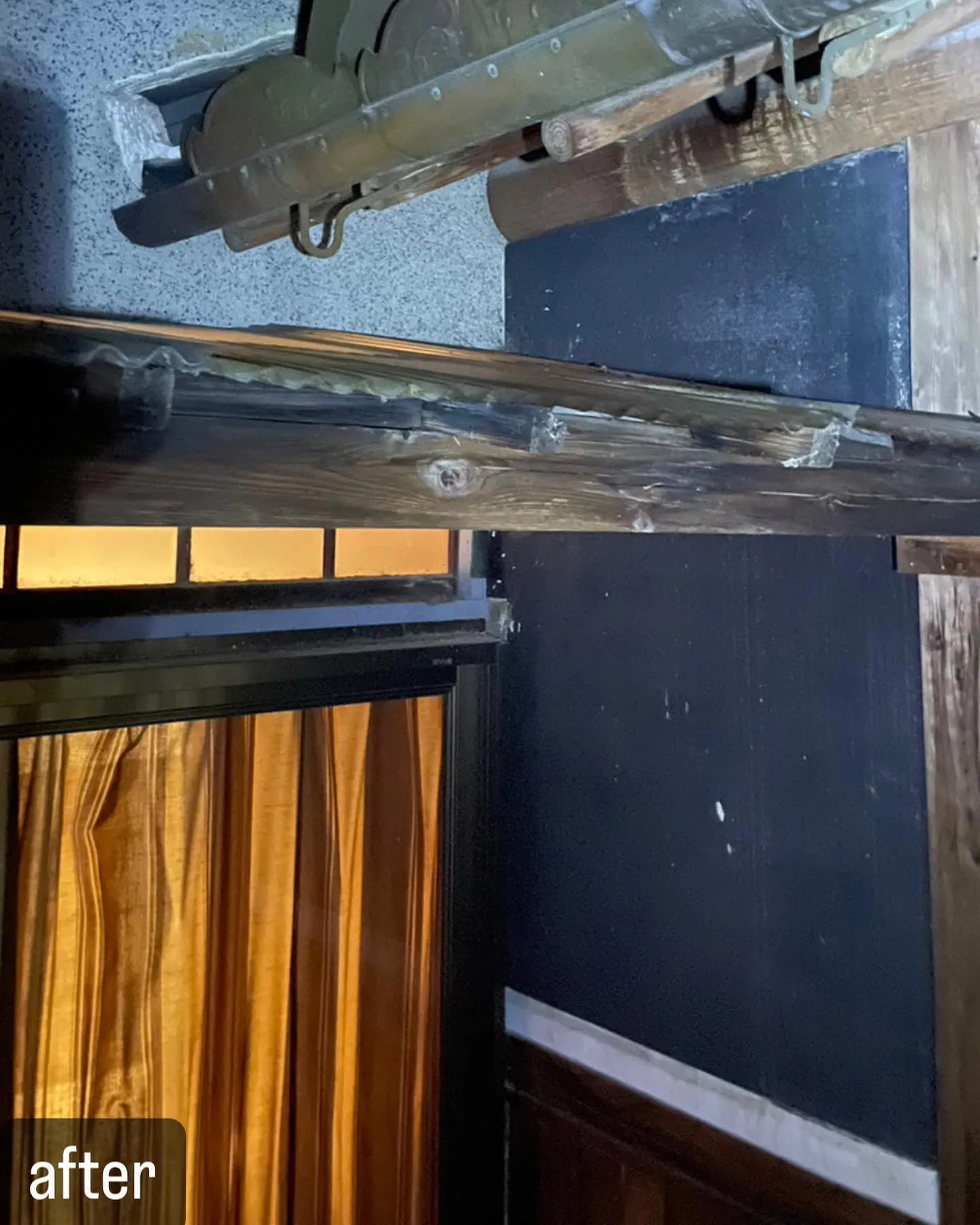 【自宅に蜂が！害虫駆除ならNATY 株式会社で】