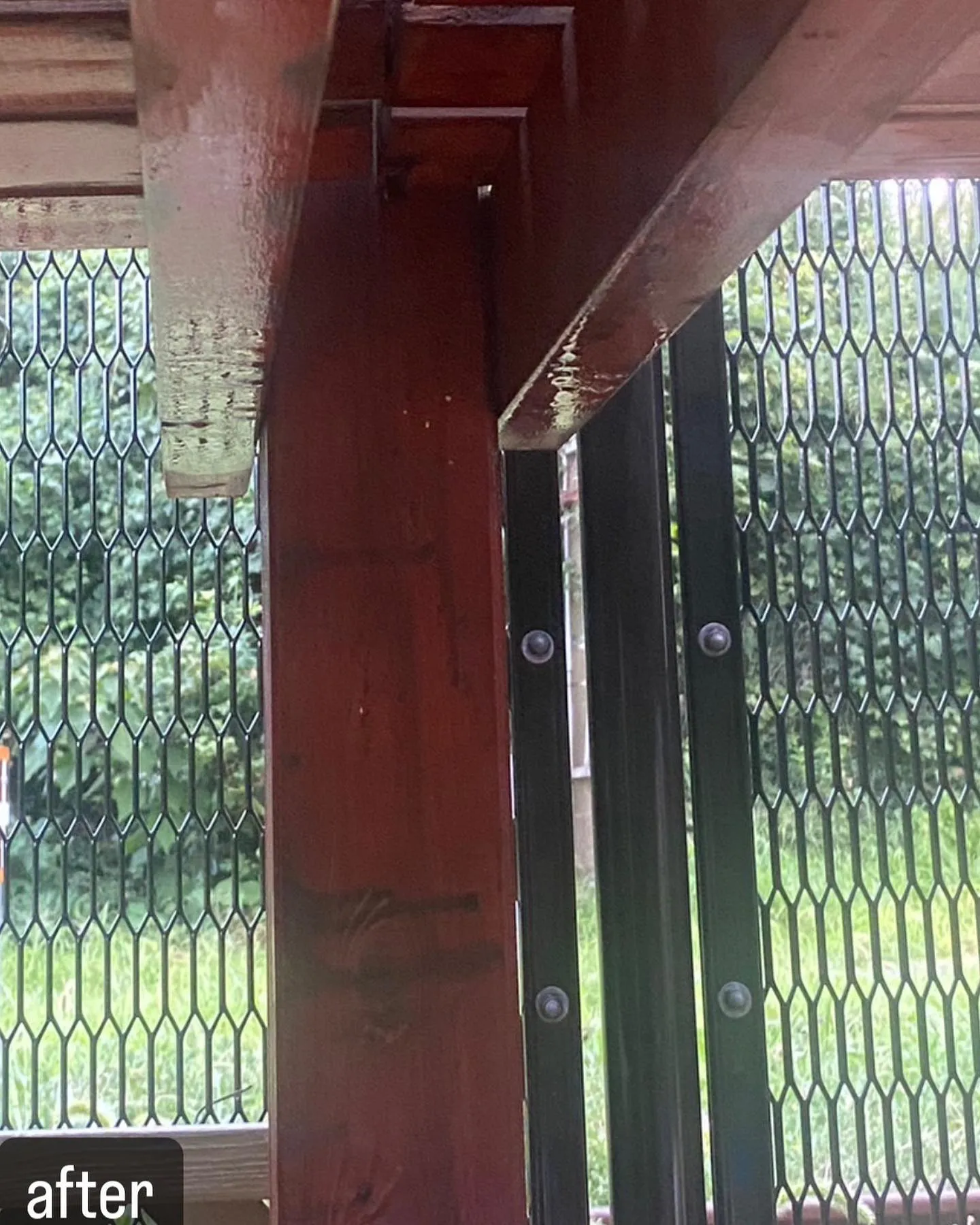 【自宅に蜂が！害虫駆除ならNATY 株式会社で】