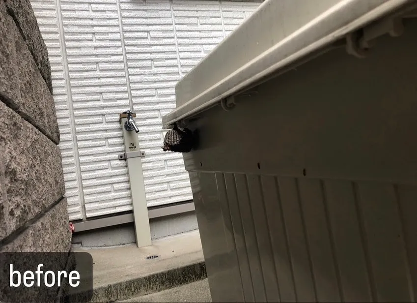 【蜂が！危険！害虫駆除ならNATY 株式会社で】