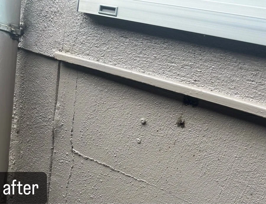 【壁に蜂がが！意外と気づかない！危険！