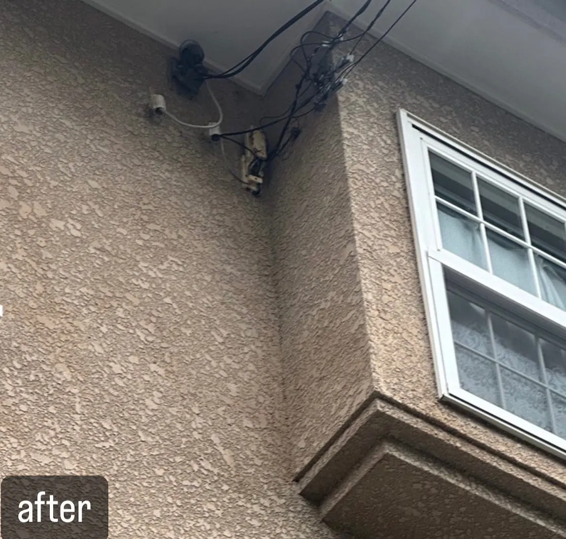 【外壁にスズメバチ！危険！