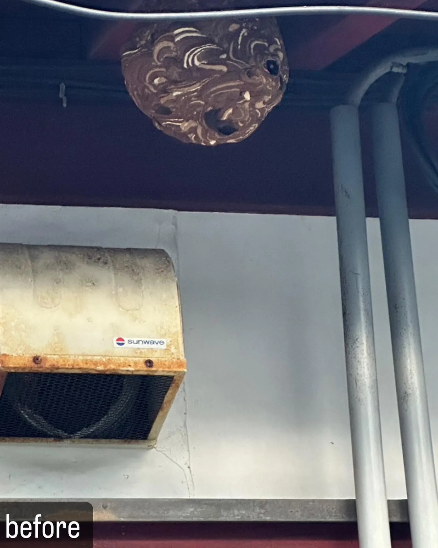 【自宅に巣がが！蜂が大量！害虫駆除ならNATY 株式会社で】