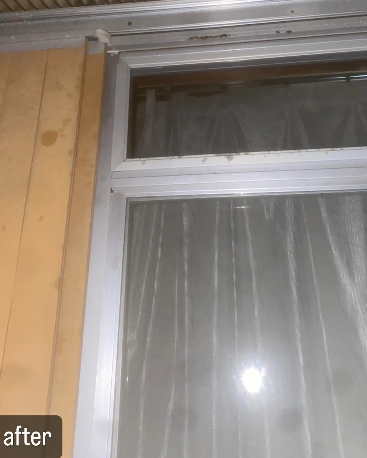 【お家に蜂の巣！かなり危険！蜂駆除ならNATY 株式会社で】