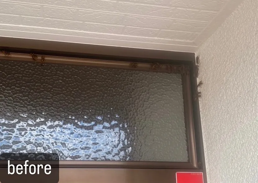 【蜂が！玄関に！意外と気づかない！害虫駆除ならNATY 株式...