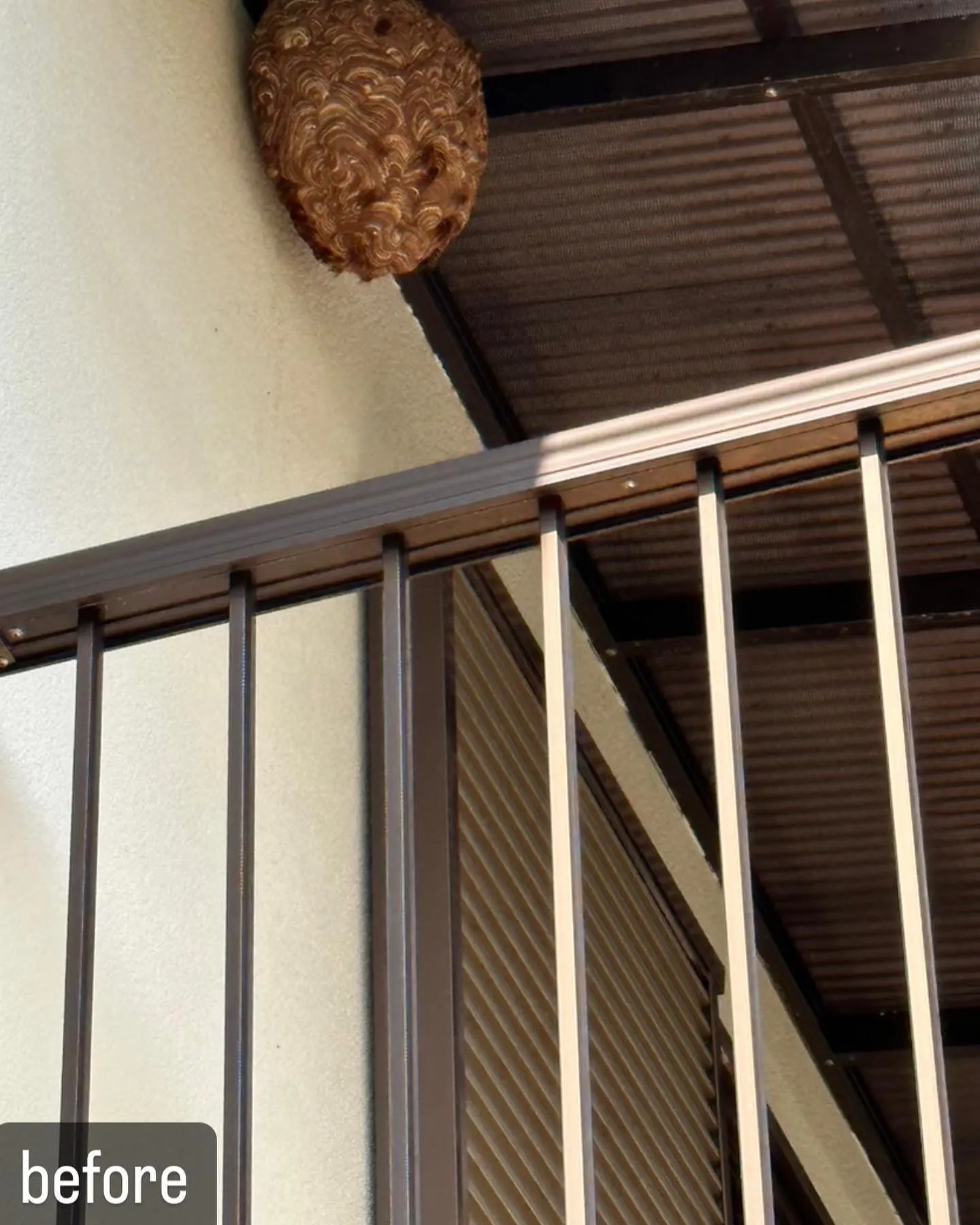 【実は気づかない蜂！家の壁に蜂の巣！害虫駆除ならNATY 株...