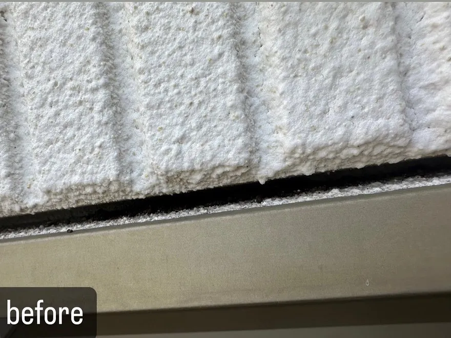 【家の中にコウモリが！危険！害鳥駆除ならNATY 株式会社で...