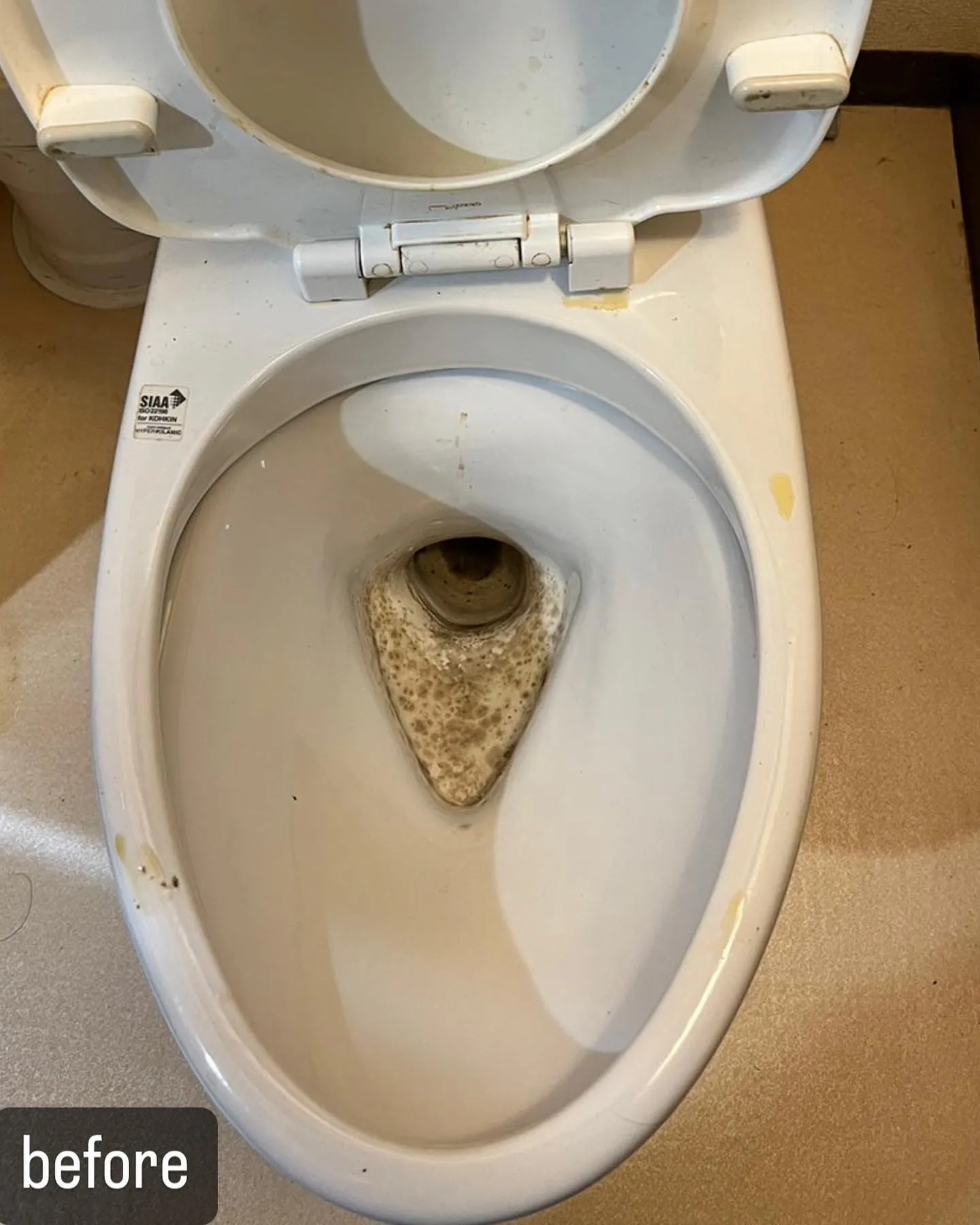 【トイレの清掃！お任せください！ハウスクリーニングならNAT...