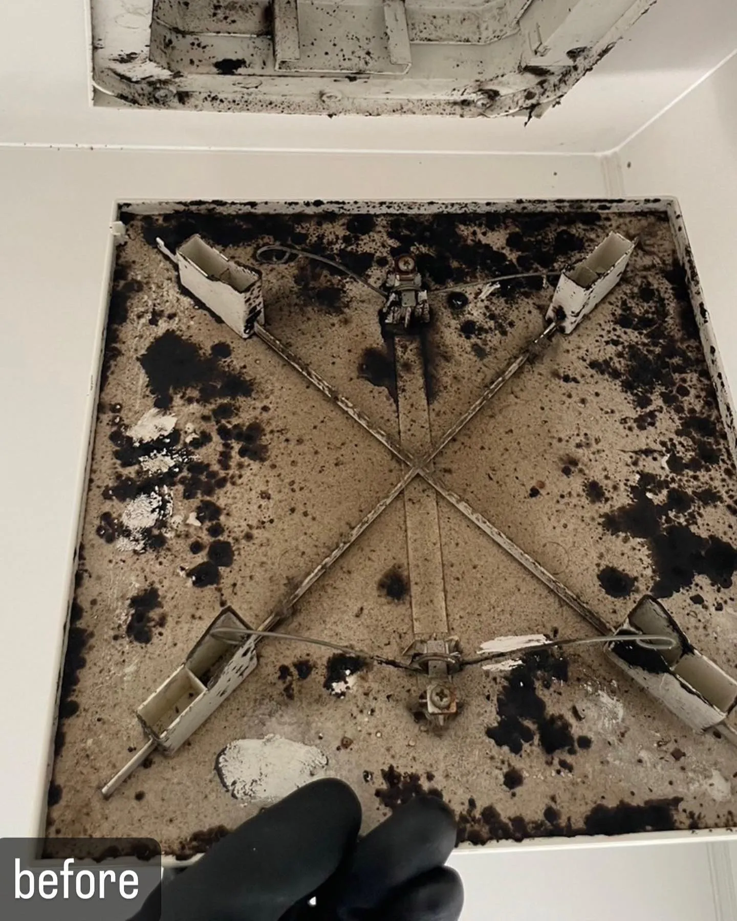 【レンジフード清掃！ピカピカ綺麗に！ハウスクリーニングならN...